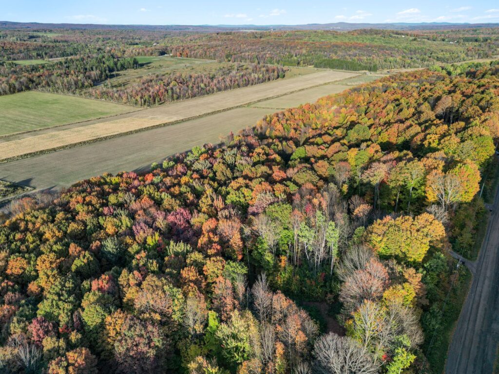 ADDC89EDE9E8B9FDD55D704D10